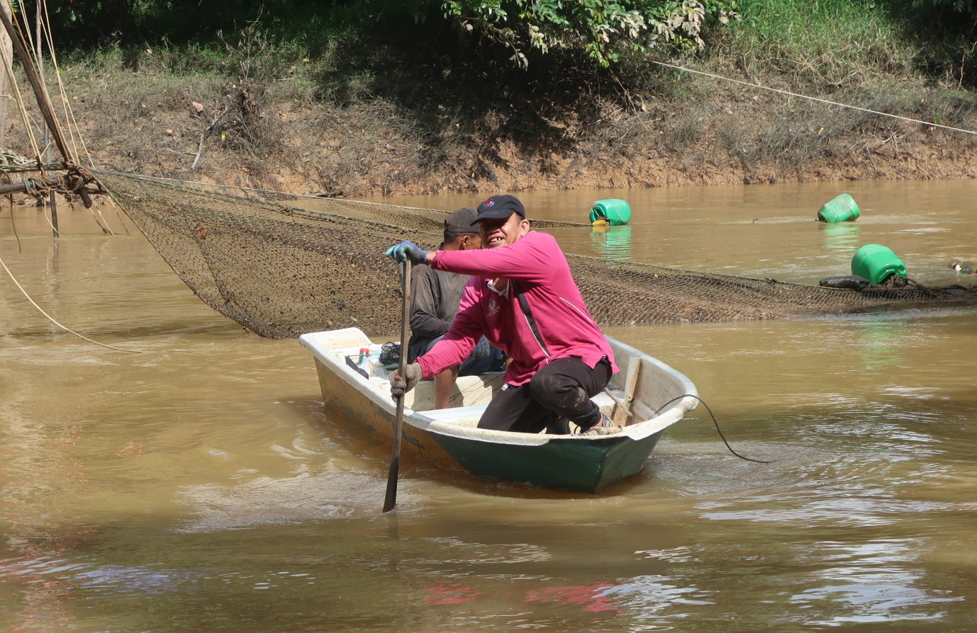 **已签发**柔︰封面:【特稿】︰昔河虾盛产跌价30%,华裔抢购备年菜