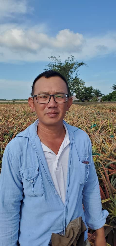 **已签发**柔：第二版头条：【特稿】：人手短缺气候影响产量，今年新年黄梨花缺货