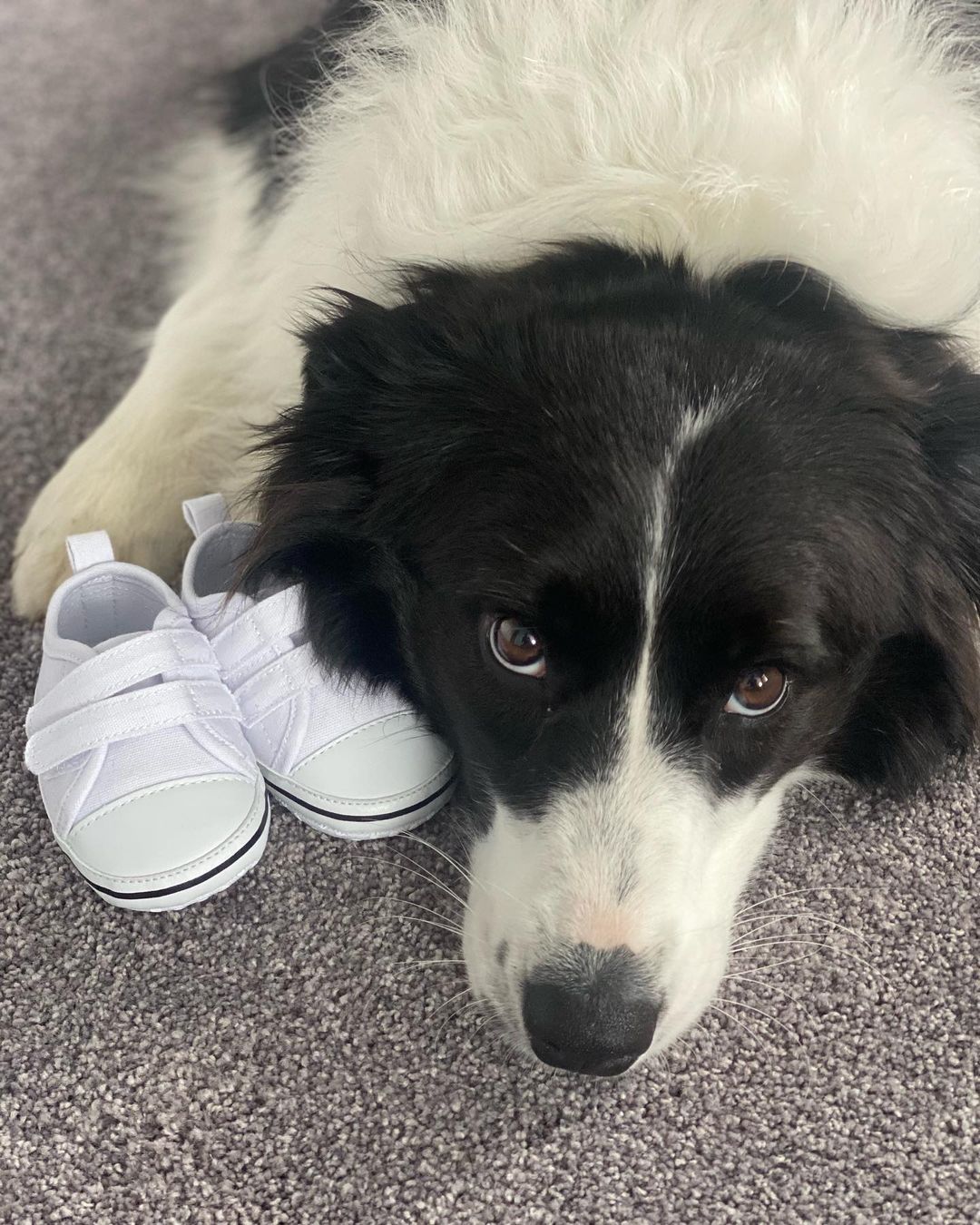 巴蒂：令人兴奋的2023年  前网球世界一姐宣布有喜