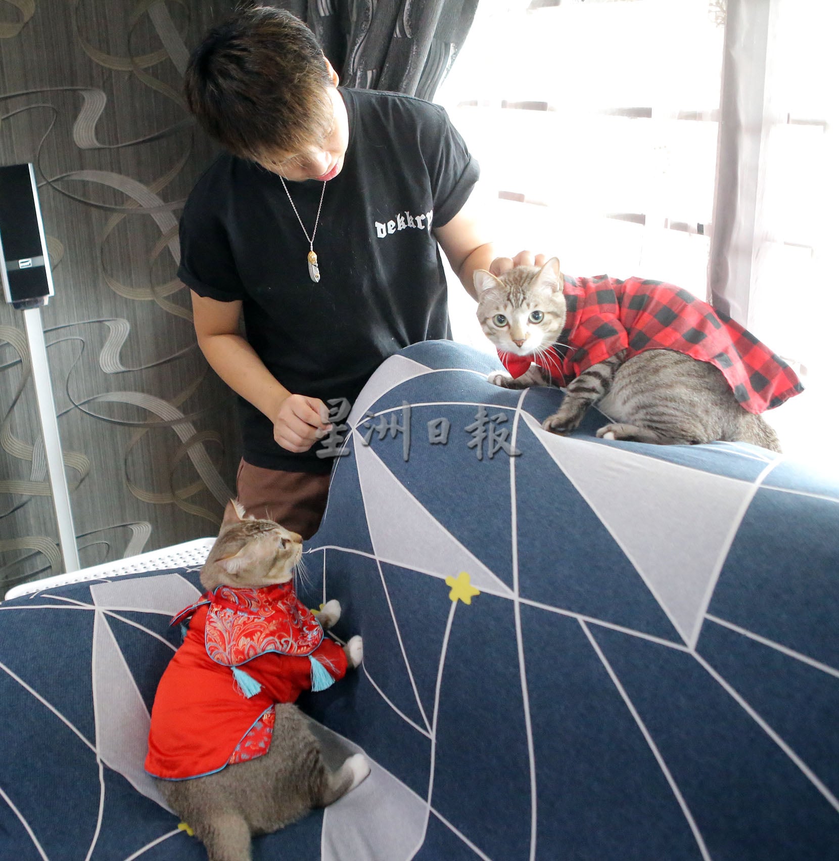 我家萌宠 | Tiger霸气Leo粘人 猫兄弟性格大不同