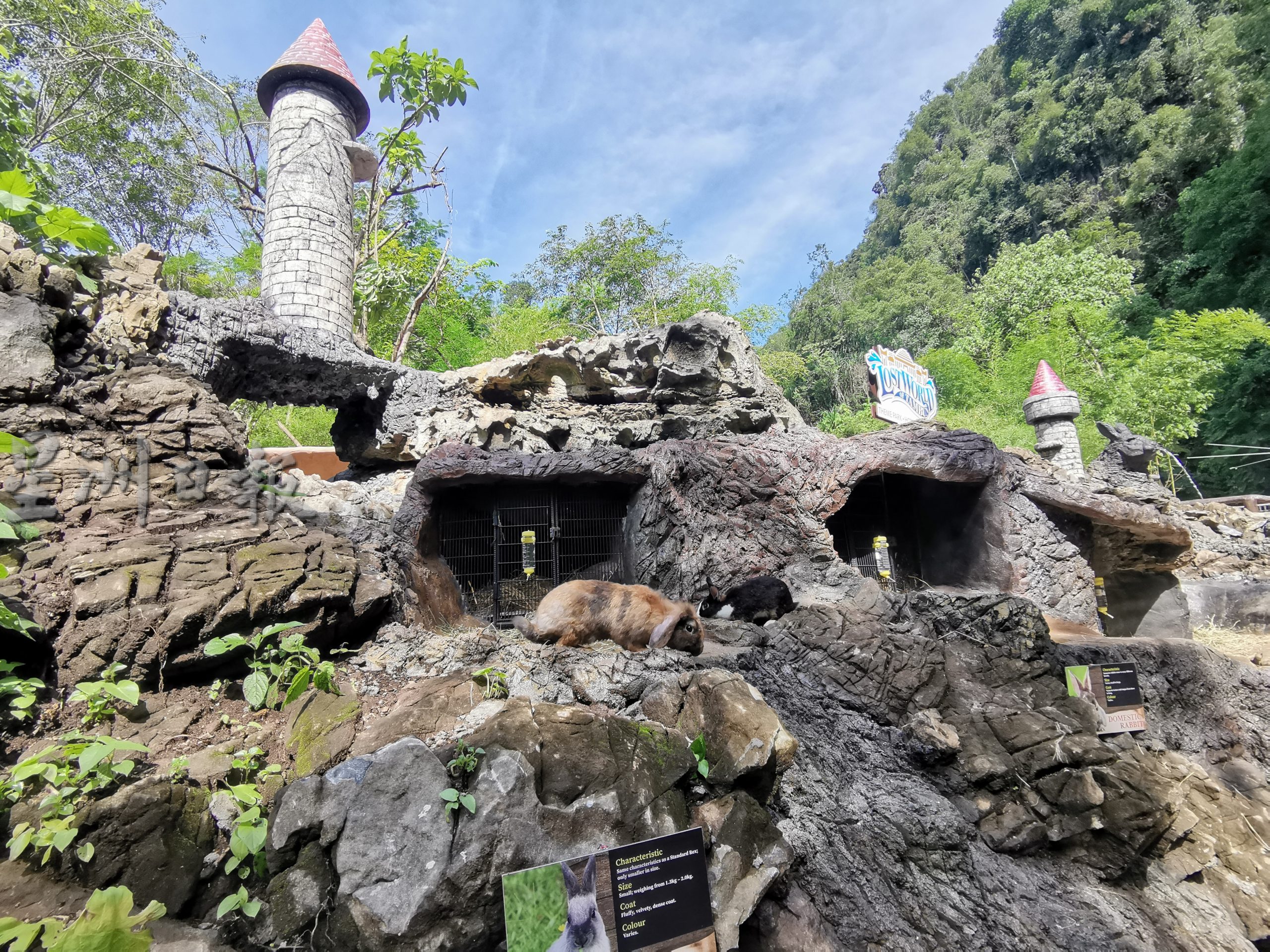 打扪迷失乐园春节节目丰富 高桩狮“兔子乐园”等你来观赏