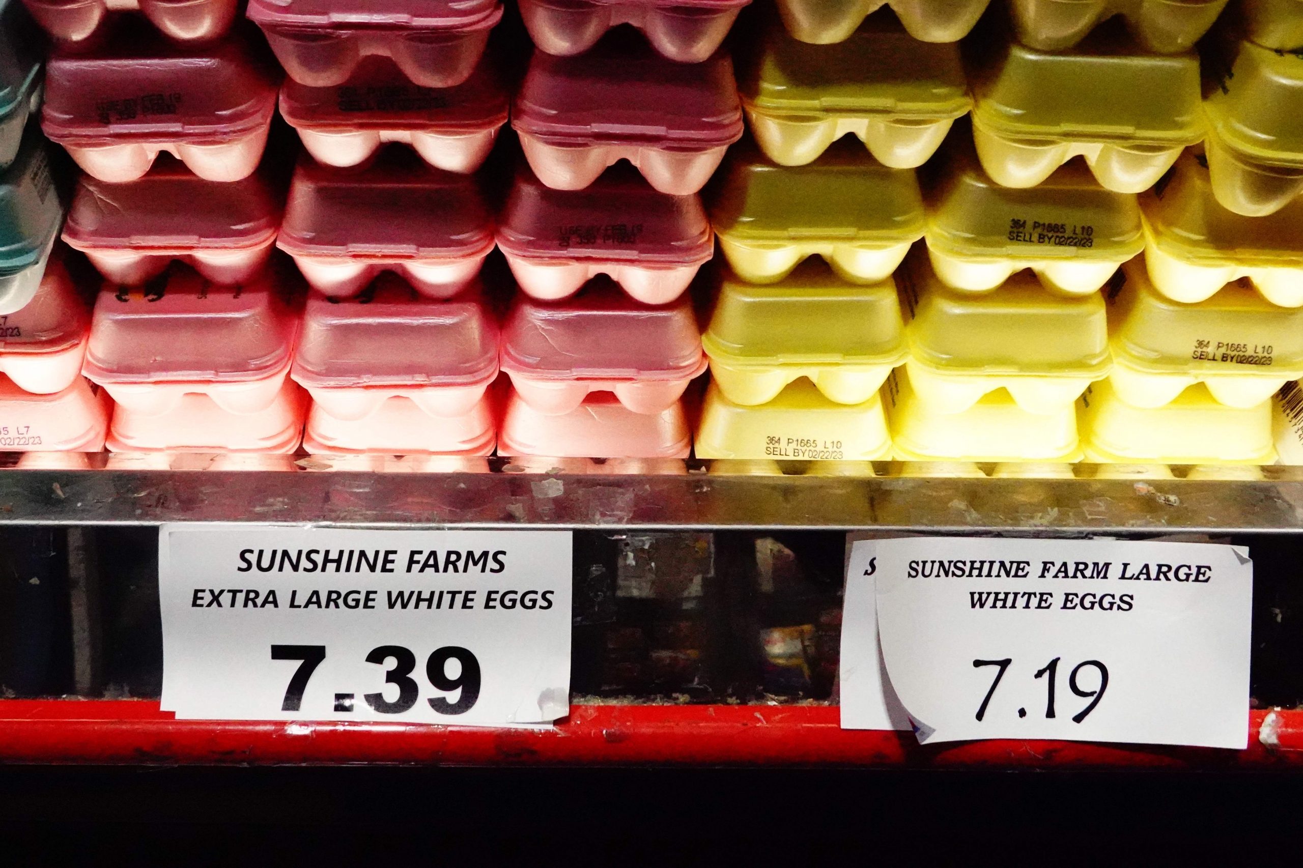 拚盘∕纽西兰陷鸡蛋荒　原因与饲养方式有关？