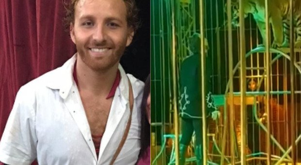 拼盘）驯兽师遭老虎袭击　获助理协助检回一命