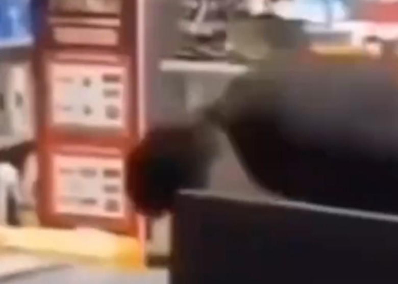 拼盘／加油后丢钱在地　车主辩称因亲戚抢付钱