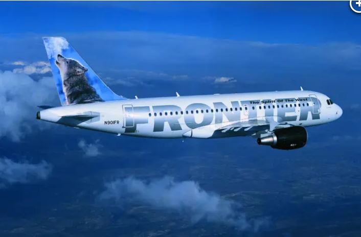 拼盘／鼓励收养幼猫 美国航空公司给免费机票 