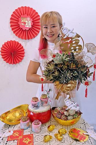 新年系列-兔年多肉