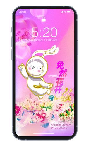 新年系列-兔年多肉