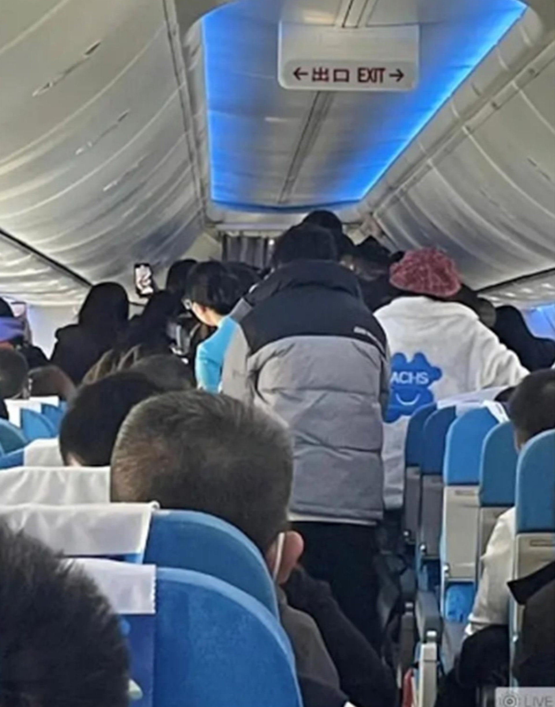 时代少年团粉丝接机破护栏踩草坪 网轰如“丧尸出笼”