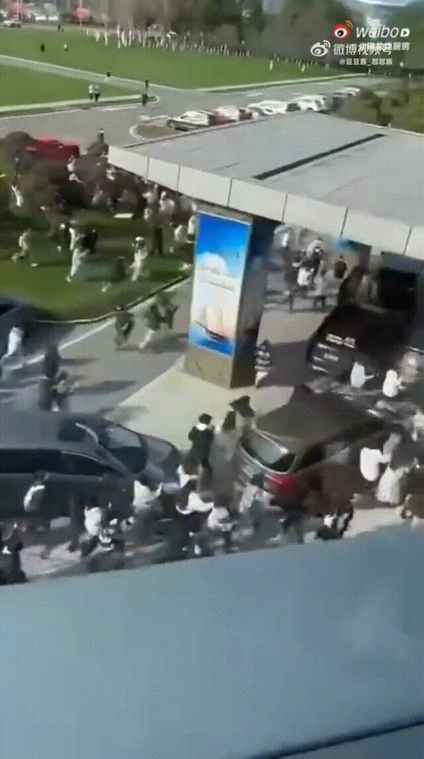 时代少年团粉丝接机破护栏踩草坪 网轰如“丧尸出笼”