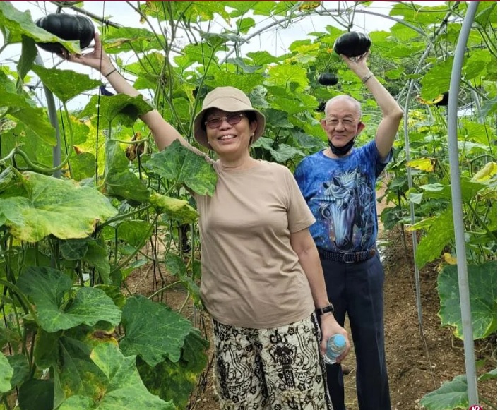 新加坡/助糖尿病患舞出春天