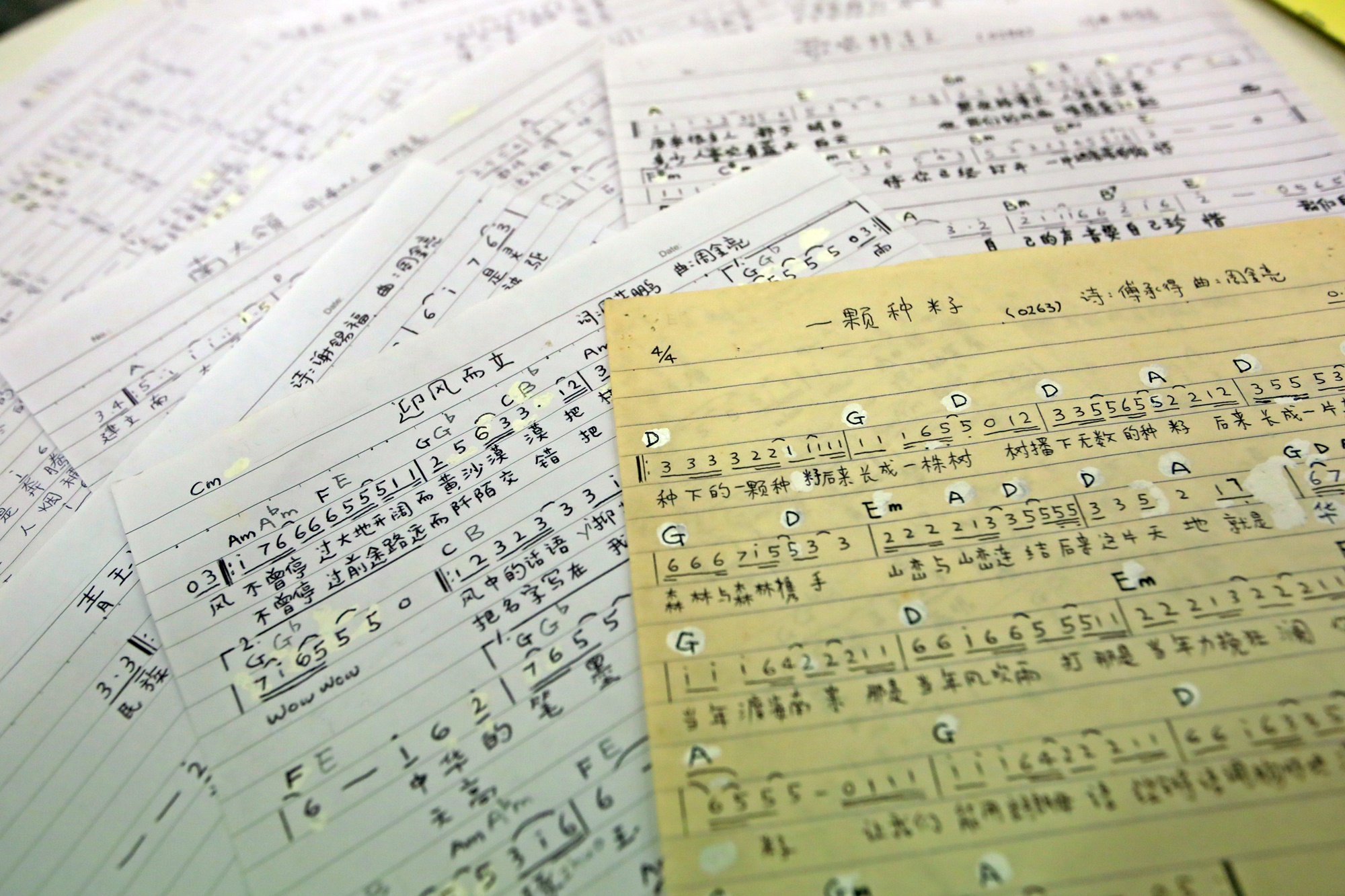 暖势力／周金亮：计划举办华教歌曲演出