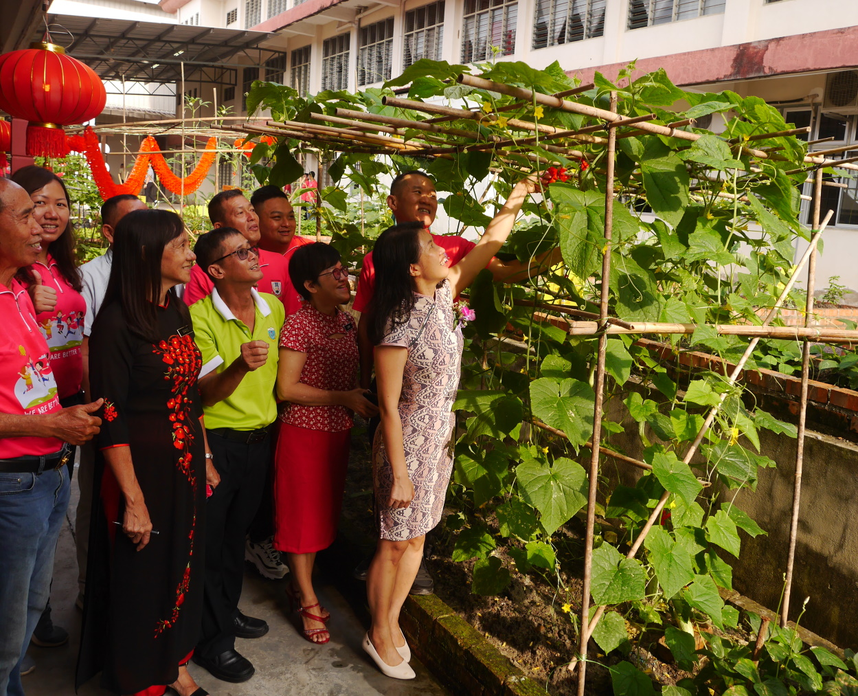 柔︰显刊:利民达华小“耕读园”开幕,董家协参观交流