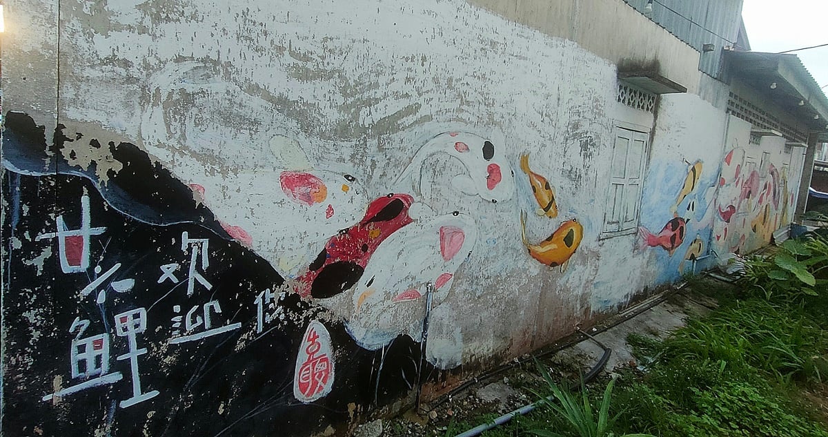 柔:【特稿】: 沙威壁画街添年味 “26鲤”引领游客观画