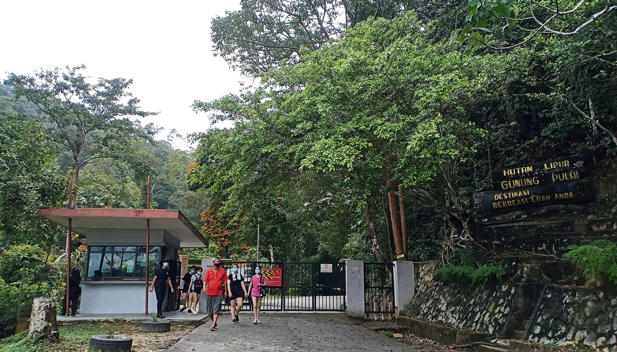 柔:可以登山了! 柔森林区15日重新开放