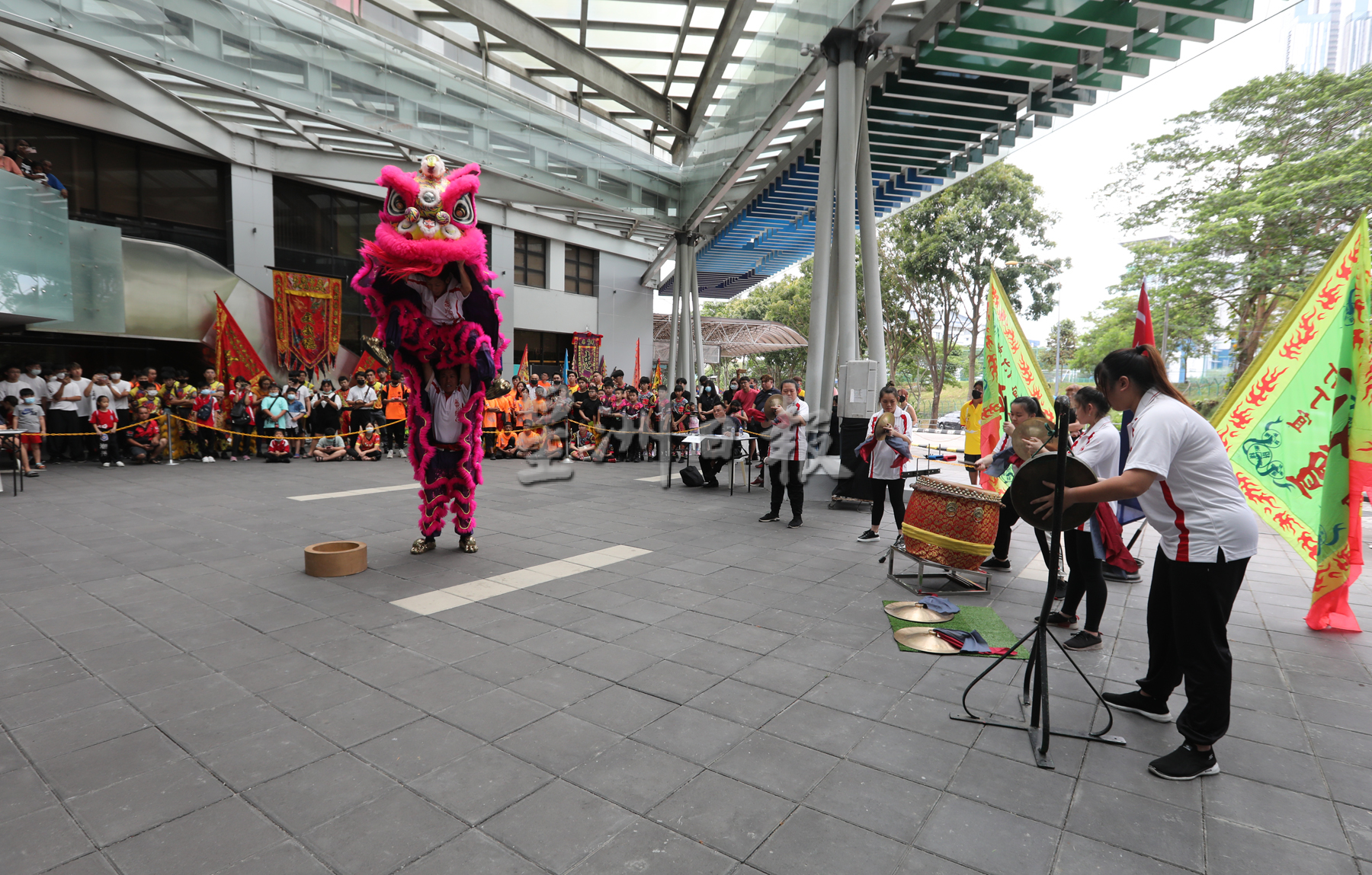 柔：回归传统，首届南狮采青争霸赛开打