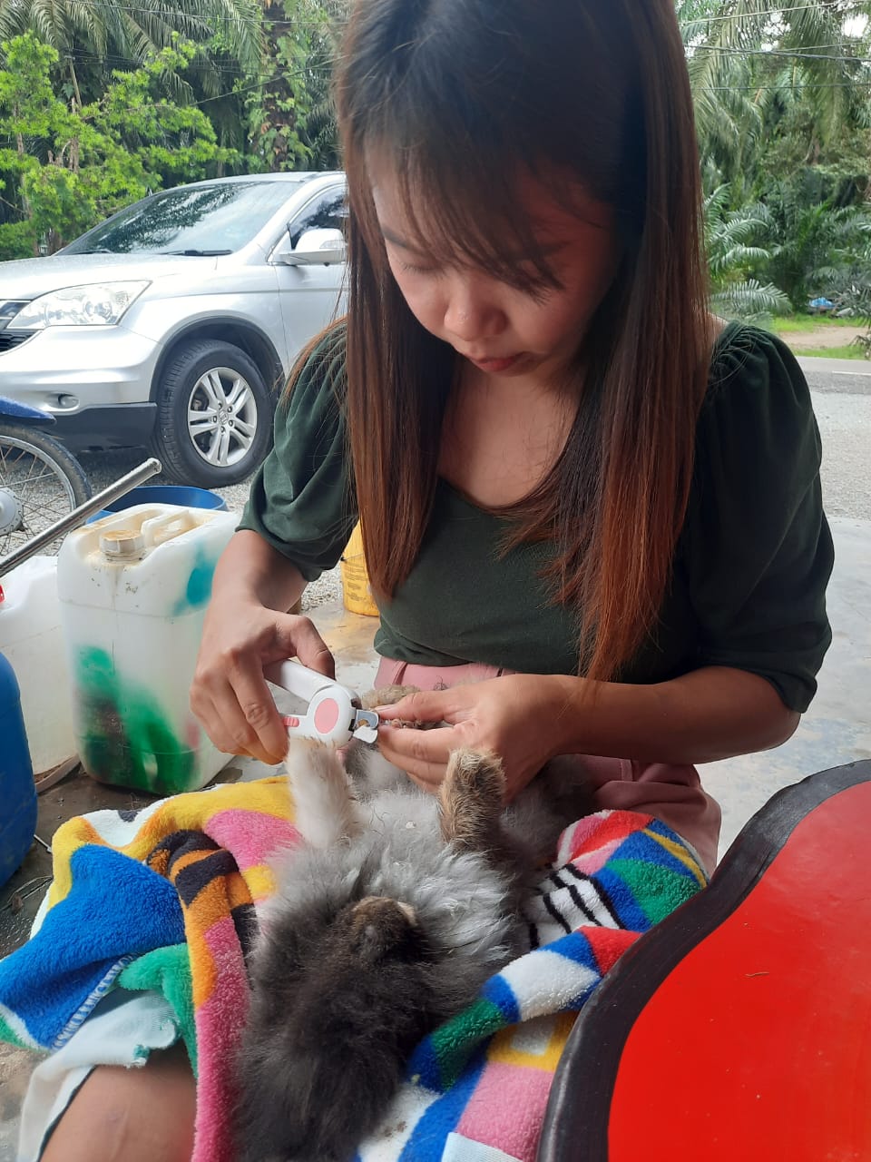 柔：宠物萌萌哒（14日刊）：宠兔之家，特建兔子园饲养兔子