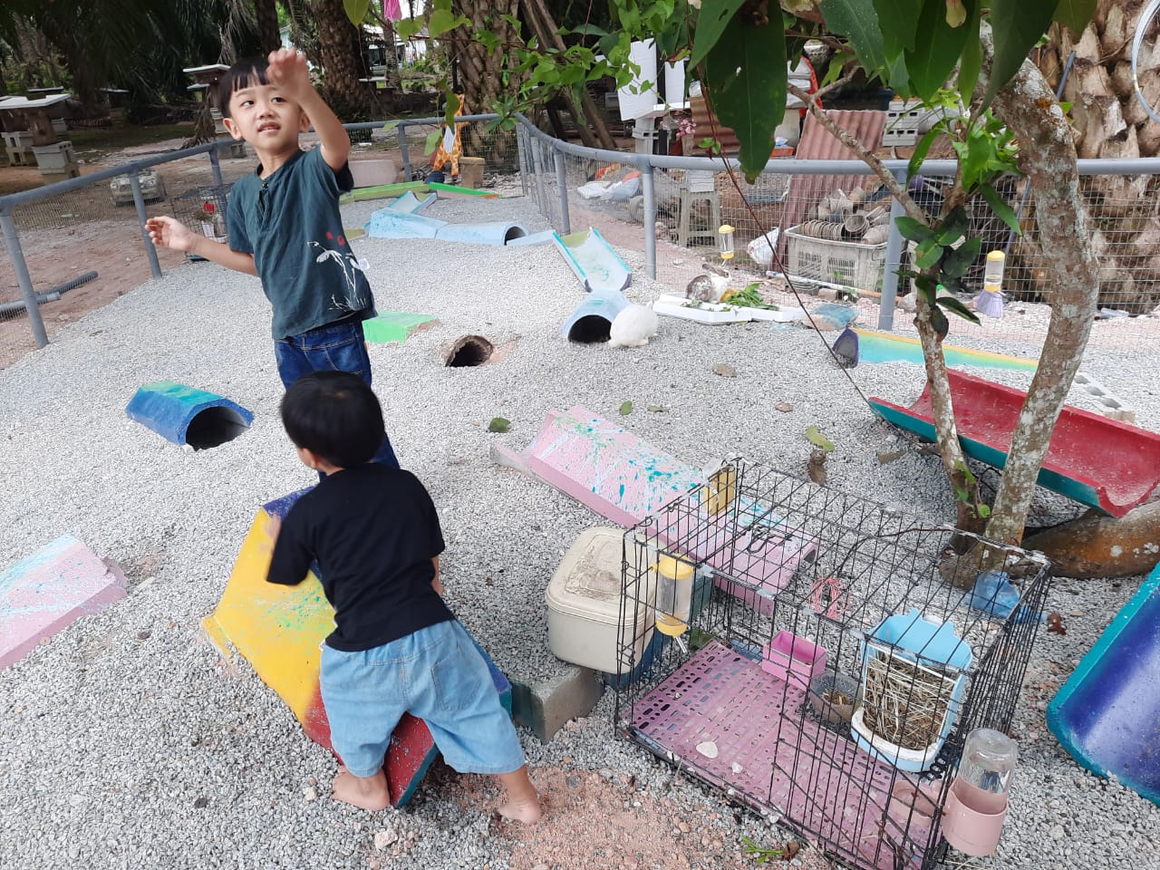 柔：宠物萌萌哒（14日刊）：宠兔之家，特建兔子园饲养兔子