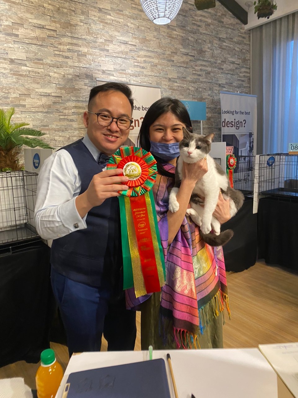 柔:宠物萌萌哒(1月7日刊):温柔巨喵星,缅因猫成本地爱猫人士团宠