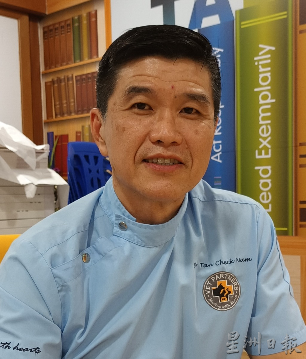 兽医传授照护心得,养出健康兔子