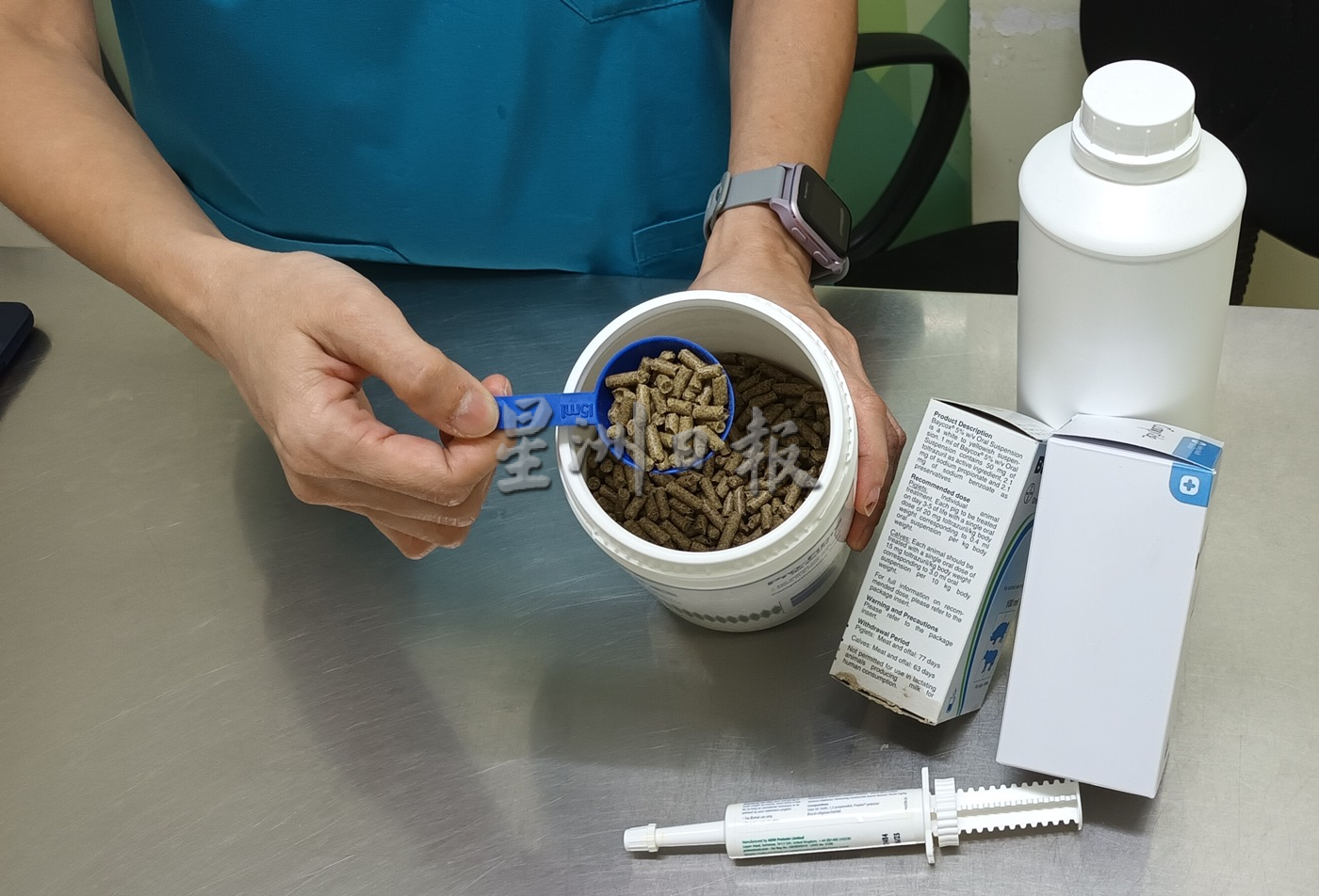 兽医传授照护心得,养出健康兔子