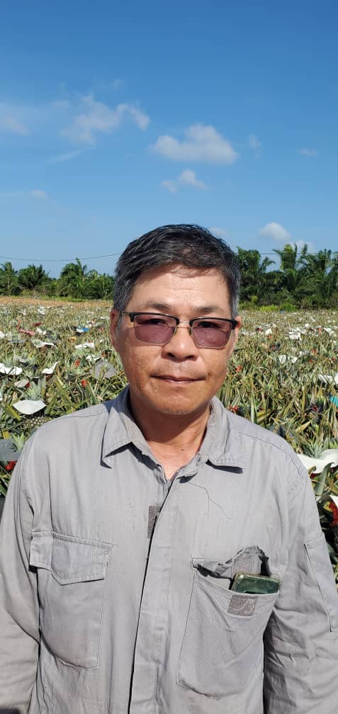 柔：新邦令金新春市场仍淡静 神料用品售价微降