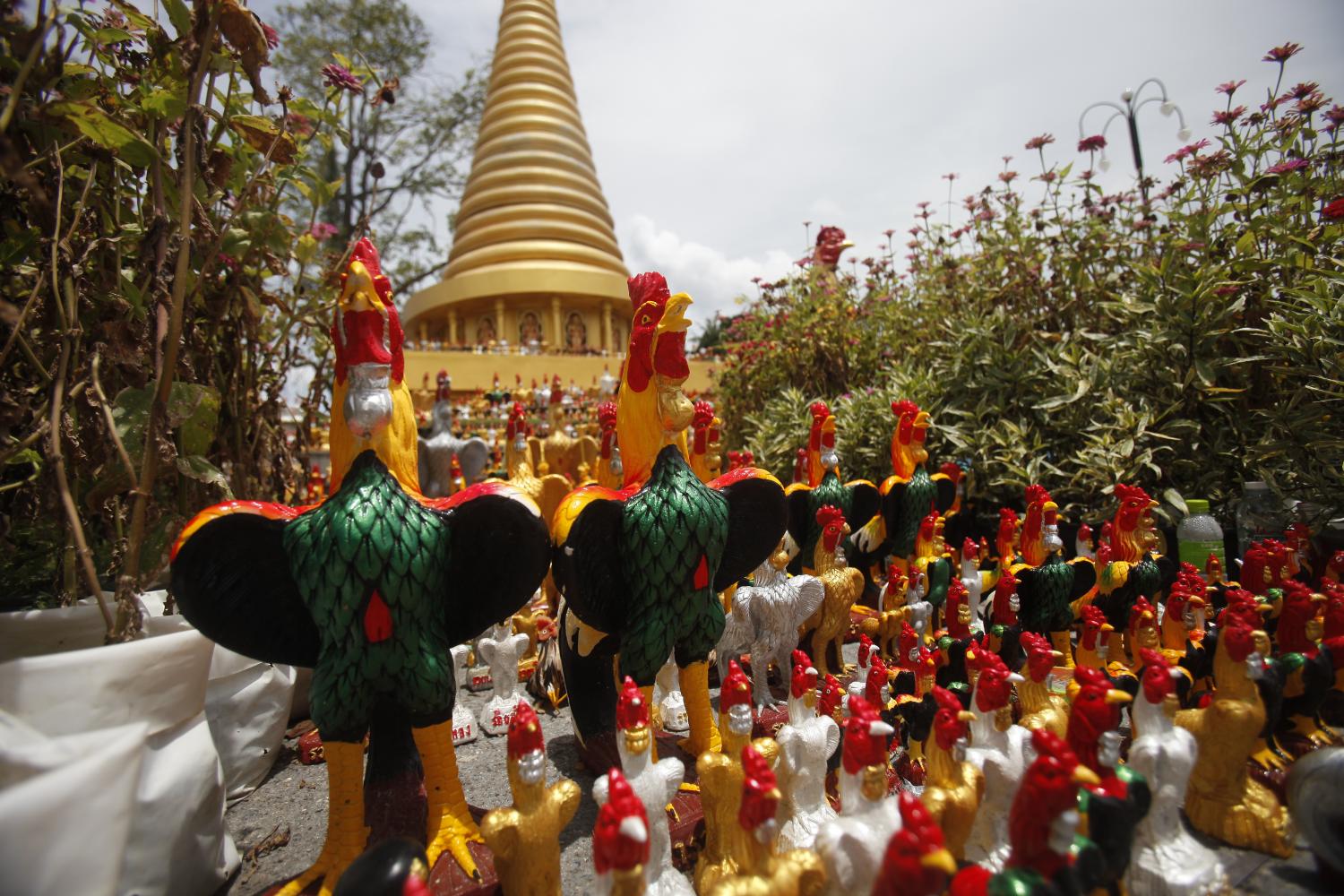 泰国南部寺庙灵验 民众还愿公鸡雕像摆满道路