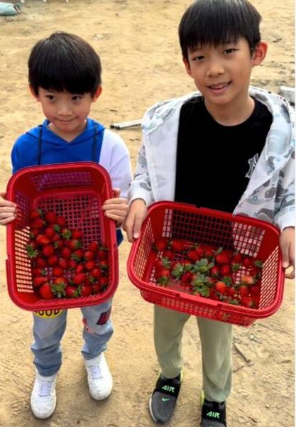 洪金宝71岁生日 坐轮椅偕家人摘草莓