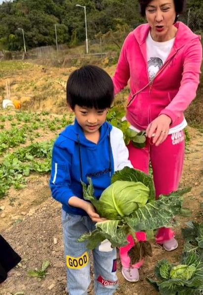 洪金宝71岁生日 坐轮椅偕家人摘草莓
