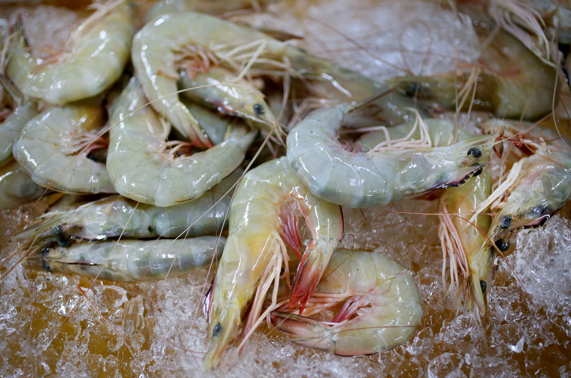 海产猪肉菜园鸡 价格居高未滑落