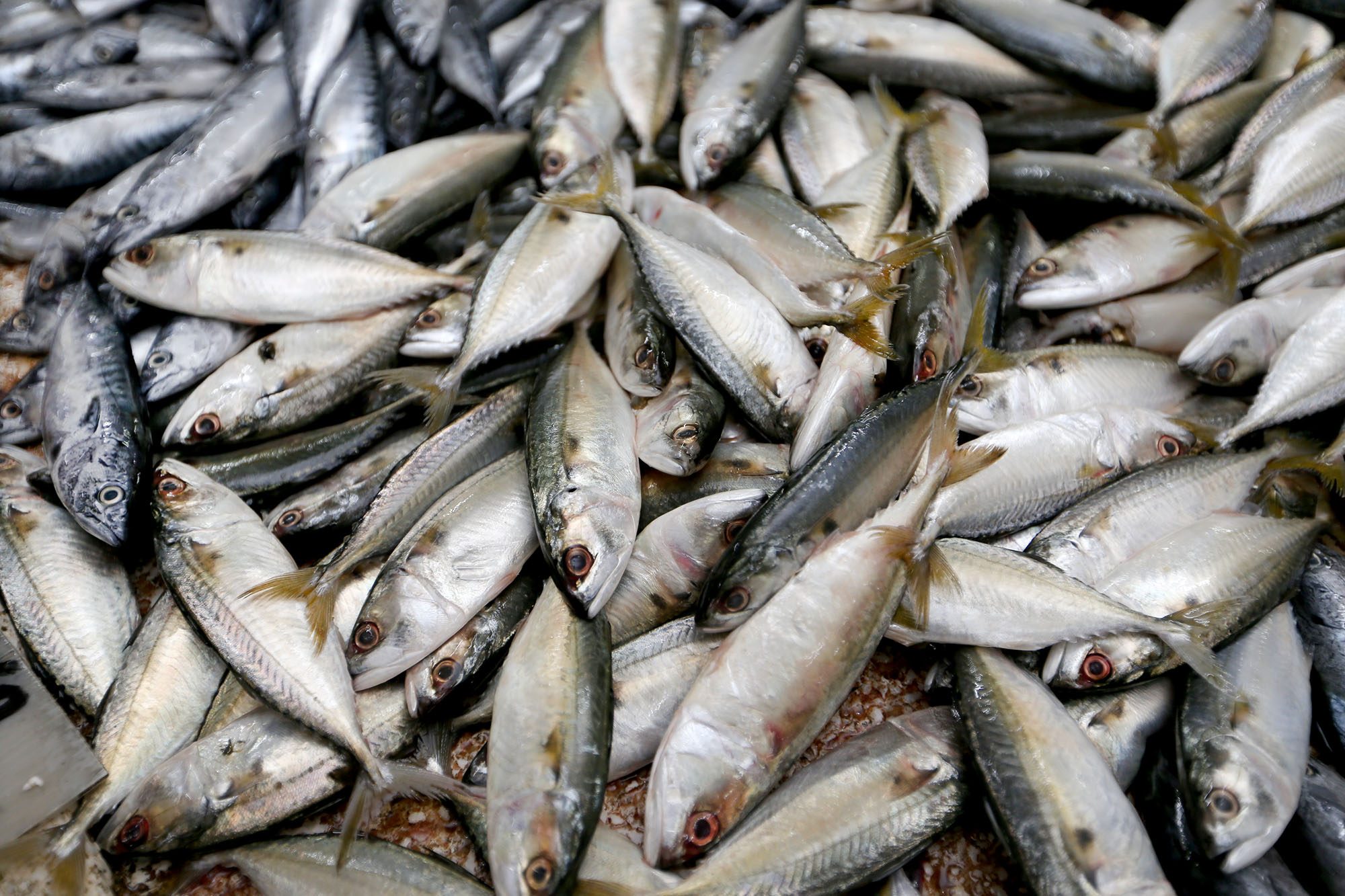 海产猪肉菜园鸡 价格居高未滑落