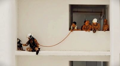 消拯员高楼施救 受困狗狗闹别扭 喂食不领情视频爆红