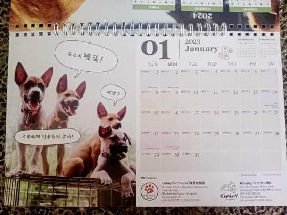 爱心桌历义卖:鼓励领养小狗,给它们一个永远的家