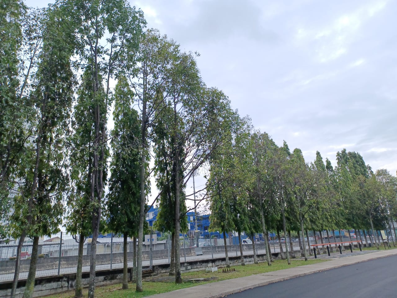 版头－大都会/50万令吉翻新加影市议会广场@加影体育馆，2月中后华丽登场／8图