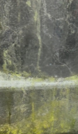 电动火车车窗严重破裂 乘客惊讶:“8年了还没修”