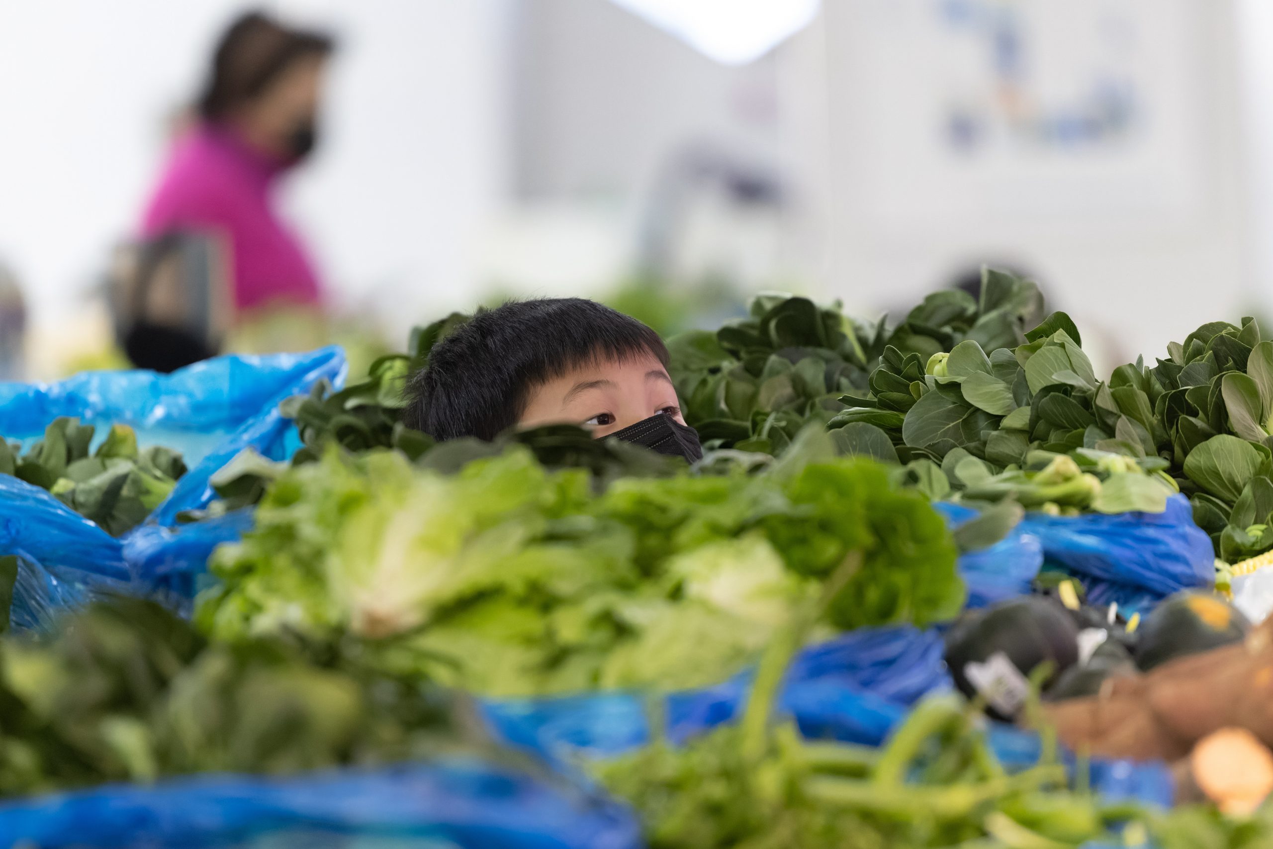 研究：可安全使用人类排泄物种植食用蔬菜 