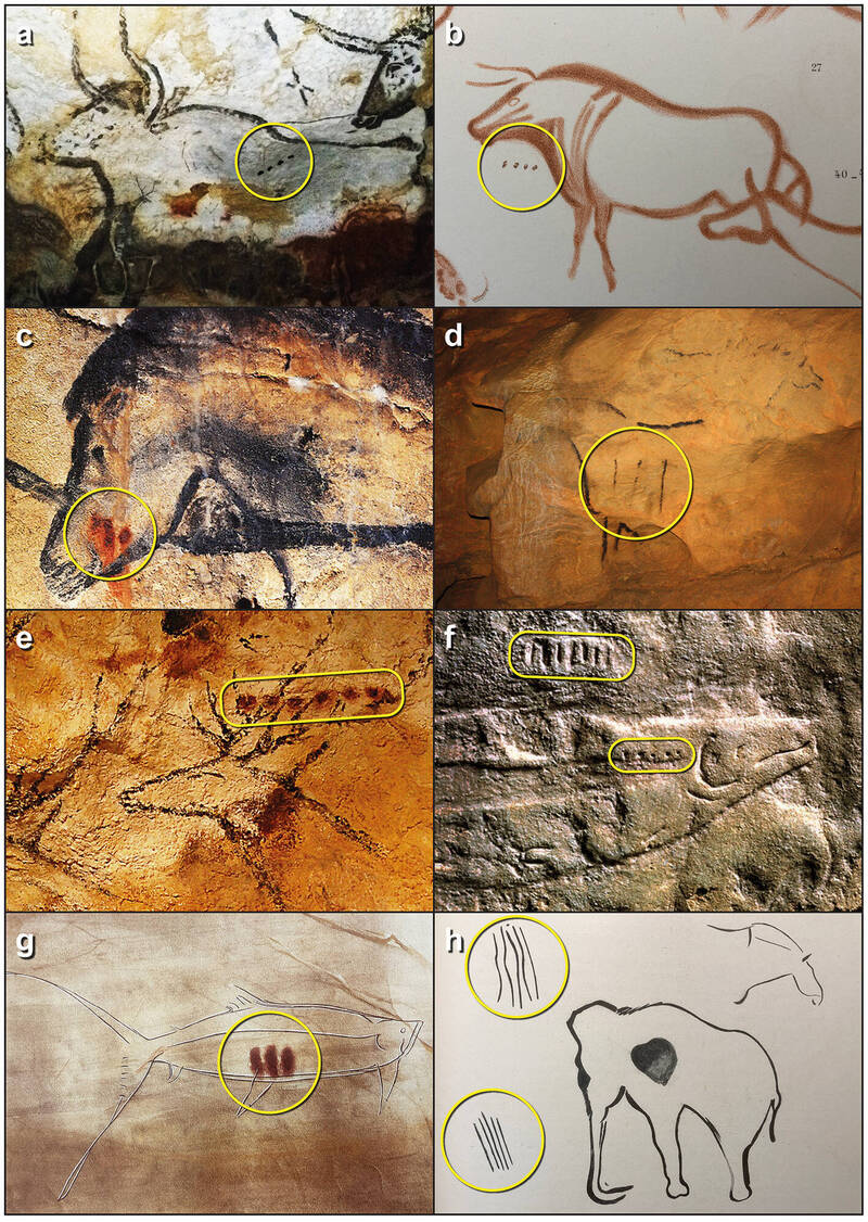 破解2万年前密码!古壁画暗藏动物繁殖期 「家具修复师」助攻解密