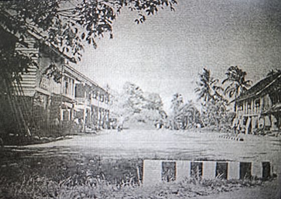 蔡羽/砂拉越也有港主制度