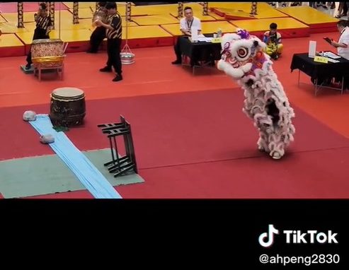 视频 | 马来少女爱上舞狮家人也支持!表现获网民激赞“真正一马精神”