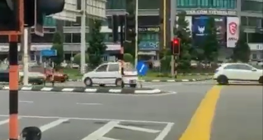 视频|什么情况？灵鹿反方向车道倒车逆行 吓坏众人