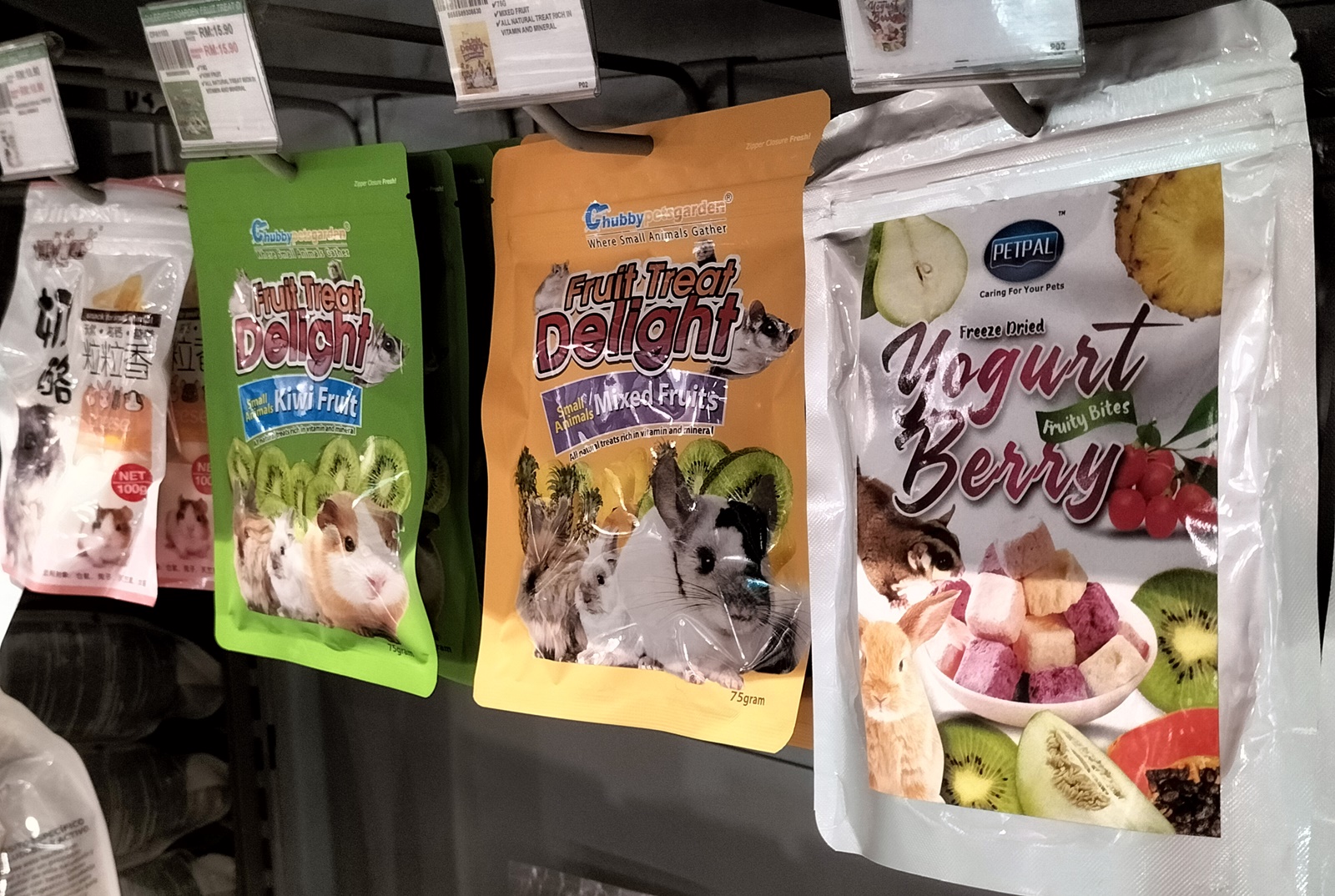 温驯宠物兔 各族老少都喜欢