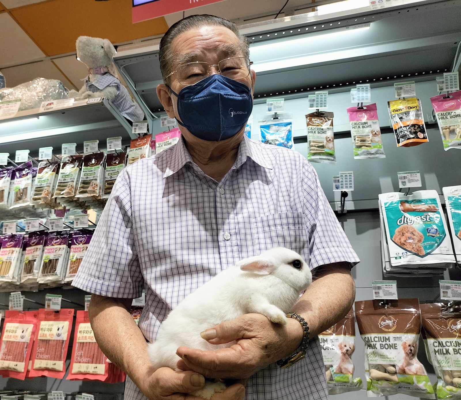 温驯宠物兔 各族老少都喜欢