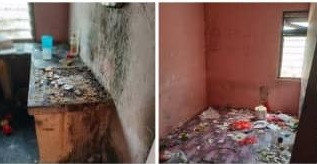  遇见地狱租客 屋主：“墙壁长满青苔 房子形同废墟！”