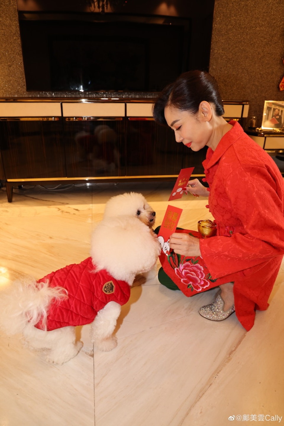 邝美云爱犬拜年趣逗利是　华丽豪宅成焦点