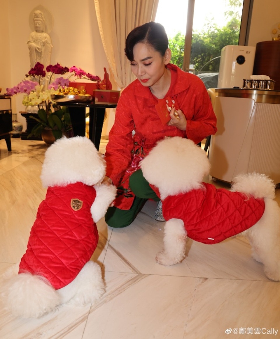 邝美云爱犬拜年趣逗利是　华丽豪宅成焦点