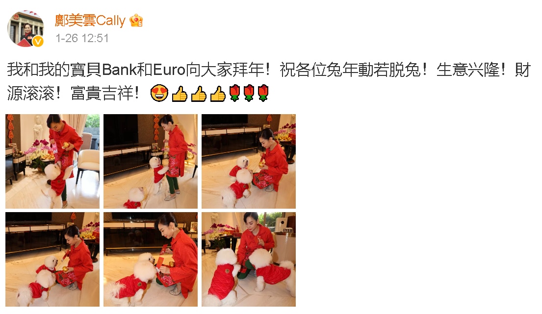 邝美云爱犬拜年趣逗利是　华丽豪宅成焦点