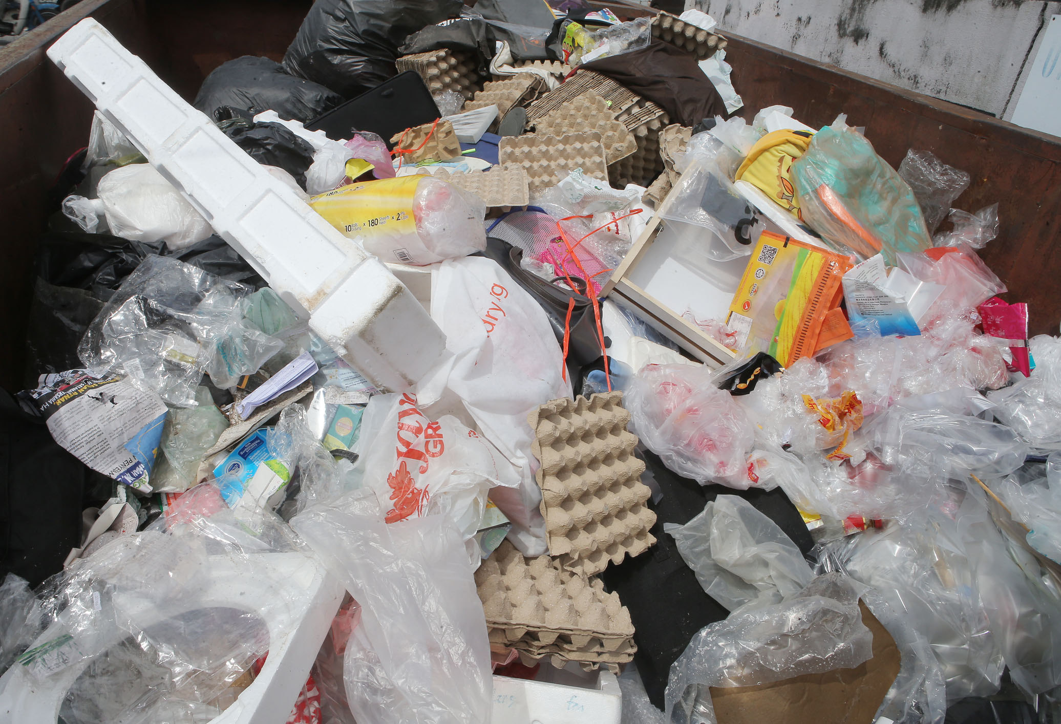 霹:第二版头/新年除旧迎新 环保组织忙碌