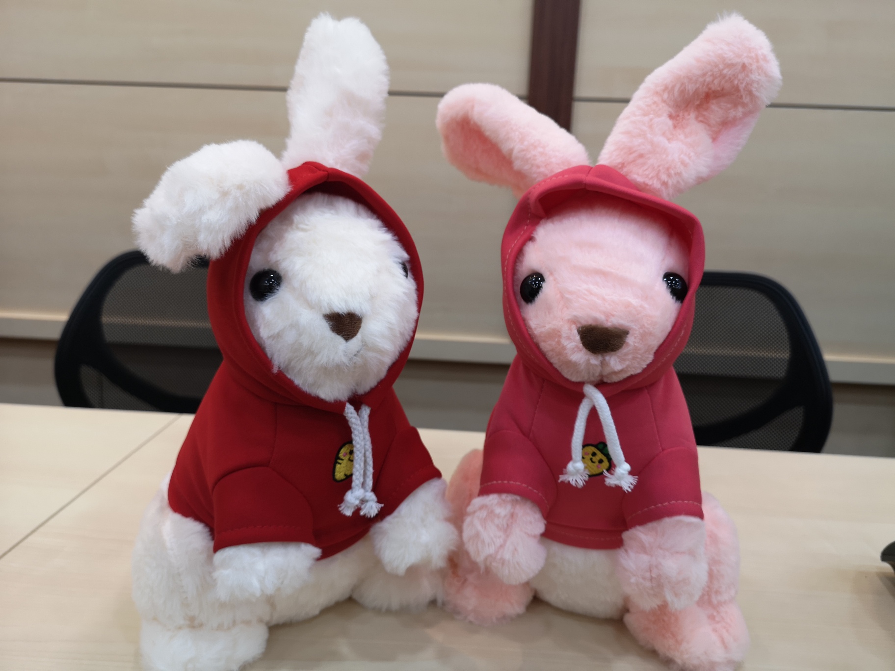 （24日见报）大都会/新年特稿：觉诚法师兔年收藏品