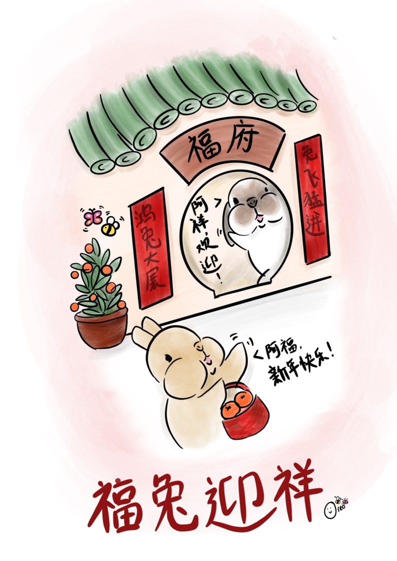 兔主人画兔子插画