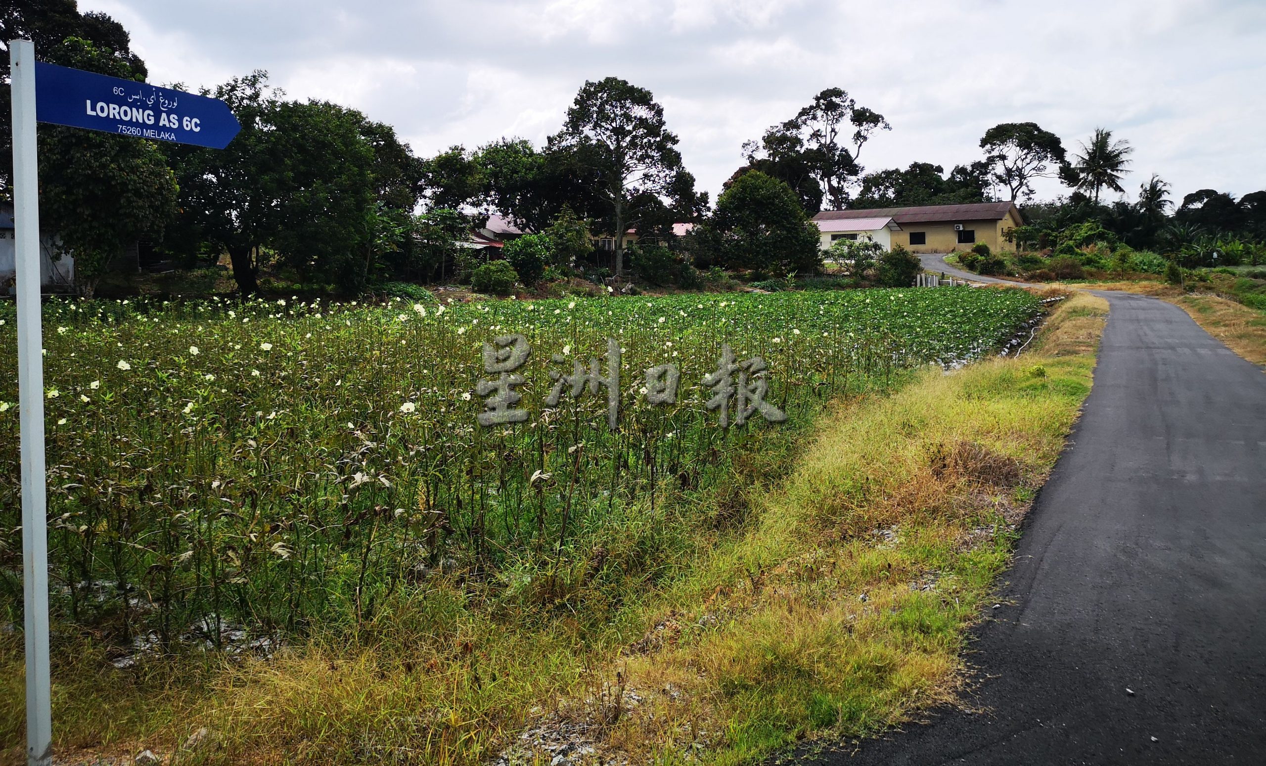 （古城封底主文）市厅为阿依沙叻新村重新安装路牌，更系统化新村道路 便于送信送货