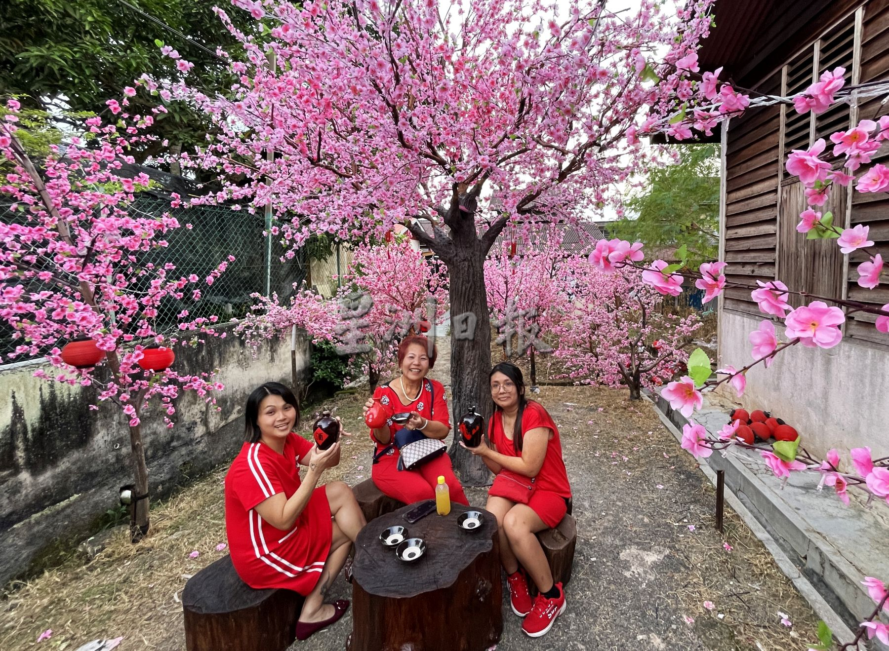 （古城封底主文）来马接峇鲁梅花街打卡，你将是“最靓的仔和囡”